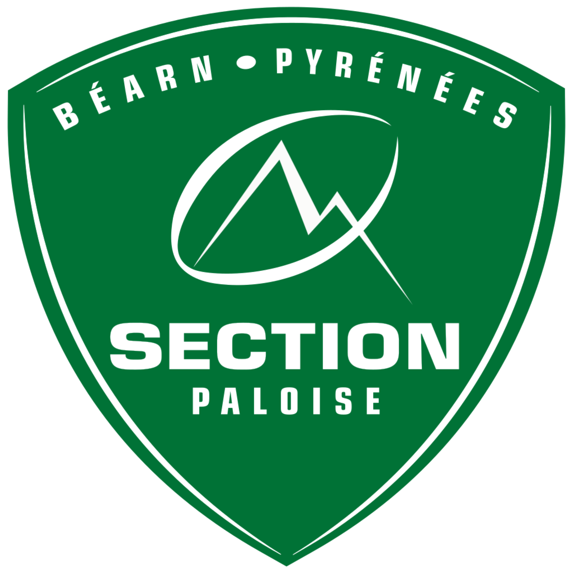 Section Paloise Rugby